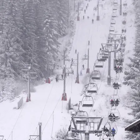 House In The Quiet Center ! Gérardmer